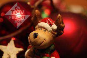 Die Handballabteilung des TSV 1904 Feucht wünscht allen Aktiven, Freunden und Gönnern,
Frohe Weihnachten und ein gesundes Jahr 2026
