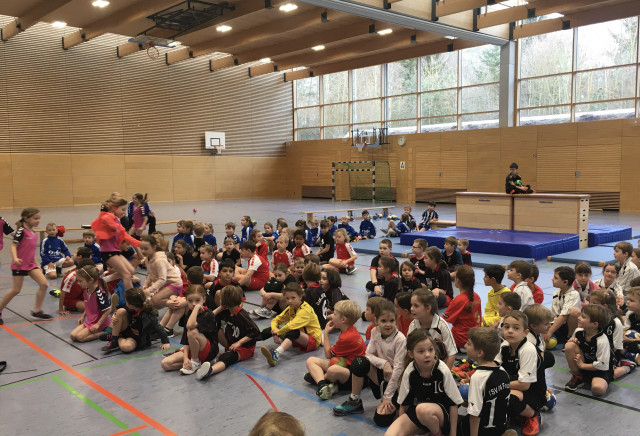 Handball: Mini-Heimspieltag am 25.01.2020