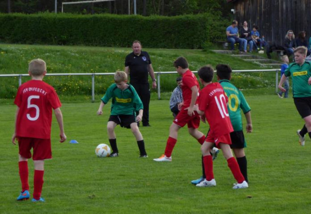 JFG Rothsee Süd D3 - TSV 04 Feucht D2  7:1 (4:0)