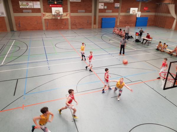 Die WildBees Basketball TSV 1904 Feucht weiterhin ungeschlagen!!