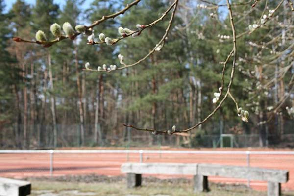 Info an die Tennisabteilung