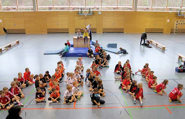 1617_mini_zh2.jpg