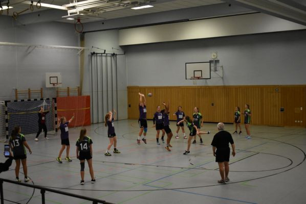 SG Auerbach/Pegnitz - TSV 1904 Feucht 16:22 (8:13)