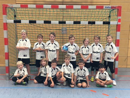 Minispieltag Handball in der Zeidlerhalle