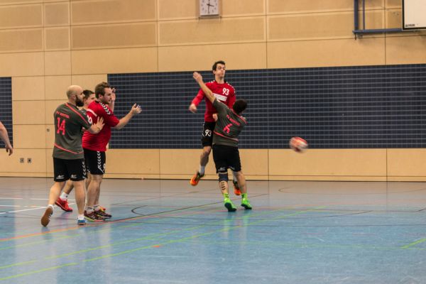 Handball_h2_300118b.jpg