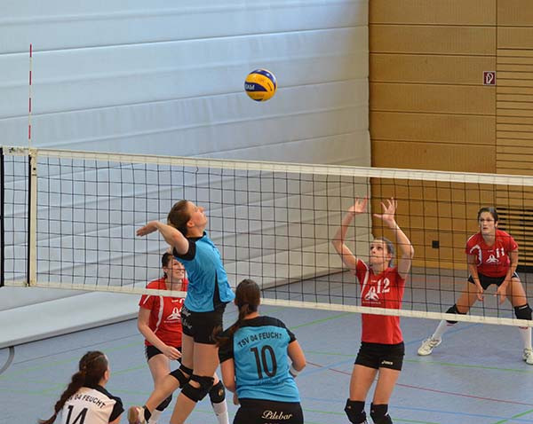 TSV Volleyballer guter Dinge
