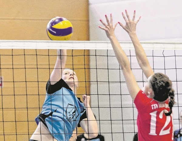 TSV-Volleyball am Wochenende - Volles Programm